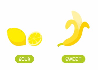 Antonyms concept, SOUR and SWEET. Educational flash card with fruits of different tastes template. Banana and lemon. Word card for english language learning with opposites. Flat vector illustration