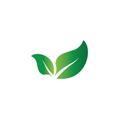 Fototapeta premium Leaf Logo Template vector symbol