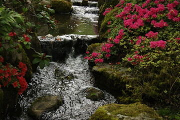waterfall in the park