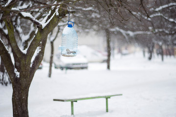 bench in the snow