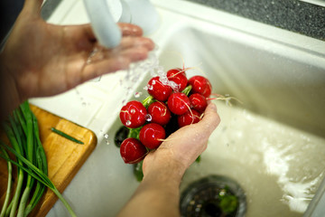woman hands holding red radish