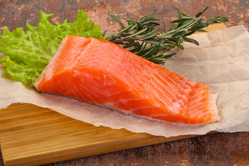 Piece of raw salmon