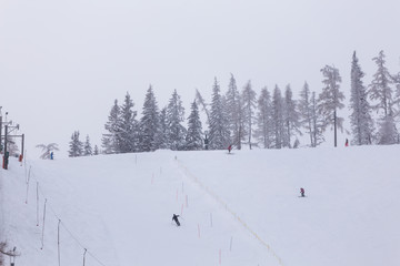 skiers descend from a slope in Slovakia in winter, ski resort