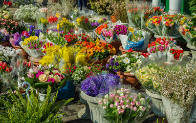 Fototapeta na wymiar Flowers on a street market.