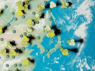 Digital image corona virus on planet Earth by countries