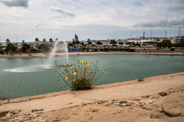 Wasserspiel vor einem Hafen in Spanien