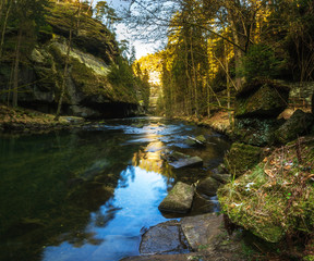 gorge in czech switzerland, conifers and stones