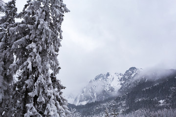 winter landscape in the mountains of Slovakia, Tatra mountains and snow