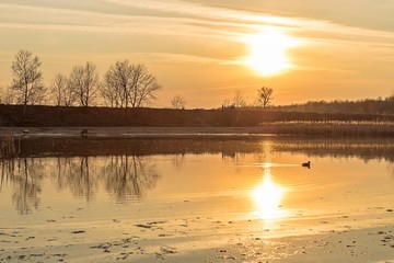 Reflections at the sunset 