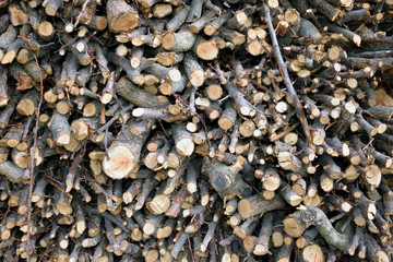 Stacked fruit firewood. Lots of neatly folded fruit tree branches.