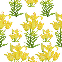 yellow lily pattern isolate object white background flower