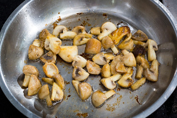 Cooking mushrooms in a pan. Close-up shot.