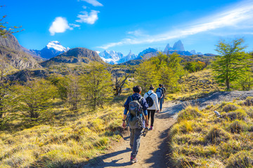 Fototapeta na wymiar Cerro Torre Trek Route ,El Chalten ,Patagonia ,Argentina
