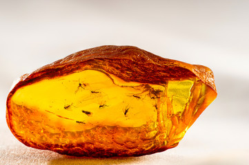 A magnificent piece of Baltic amber with prehistoric flies and insects that are many millions of years old.   