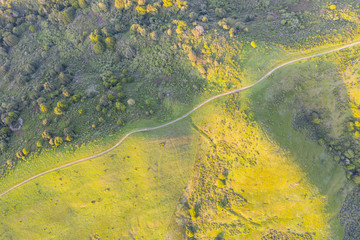 Afternoon light shines on the green hills of the east bay region of Northern California, just east of San Francisco Bay. This beautiful area is green in the winter and spring and golden in the summer.