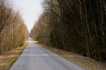 Long gray asphalt road stretching in forest.No cars,people around.Trip in own car to wild nature alone,with family,friends.Self-isolation,departure,escape from city.Quarantine covid-19 coronavirus