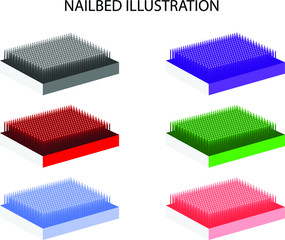 Nail Bed or Spike bed Flat vector Icon Illustration 