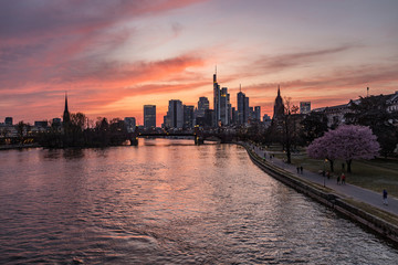 Obraz premium sunset over the river of Frankfurt, skyline view 