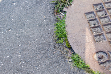 Sewer manhole on the pavement and green grass