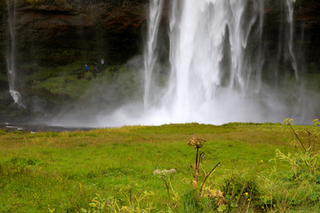 Seljalandsfoss / Iceland - August 15, 2017: Seljalandsfoss one of the most famous Icelandic...