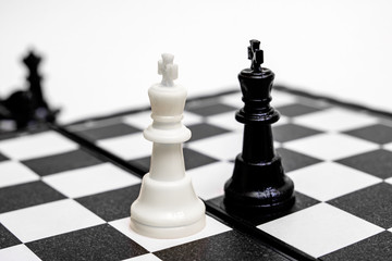 Two kings of chess on a white background