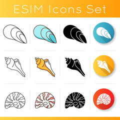 Seashells icons set