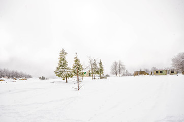 winter photography with cold ice and snow at minus 30 below 0 in the mountains