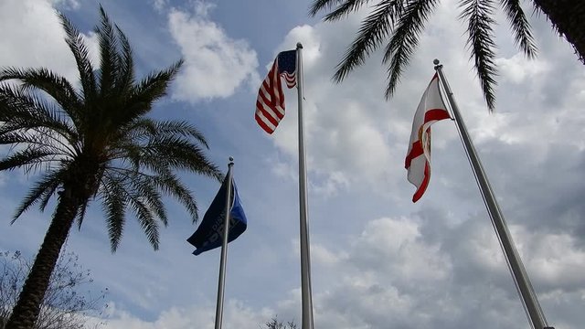 American Flag Florida Flag And Disney Springs Flag Blowing In The Wind By Palm Tree And White Clouds Background 