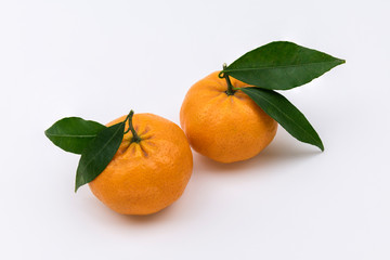 Two whole tangerines, clementines with green leaves isolated on white background