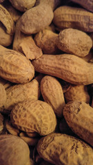 Peanuts, Denver, Colorado, USA