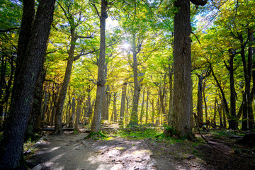 Obraz premium Torres de Paine Trek Route in Autumn, Magallanes and Chilean Antarctica Chile