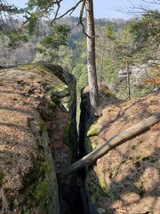 waterfall in the forest