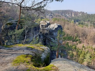 rocks and trees