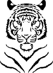 tiger black and white vector illustration frontal portrait 