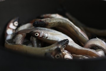 Fresh fish in the pan close up