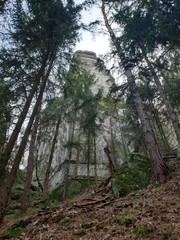 path in the forest