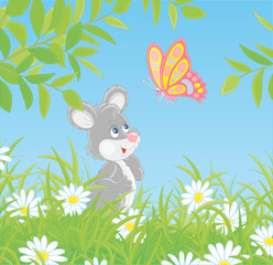 Little grey mouse friendly smiling and watching a bright colorful butterfly flittering over white daisies hiding among green grass of a pretty summer field on a sunny day, vector cartoon illustration