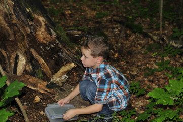 Young in a forest geocaching with treasure