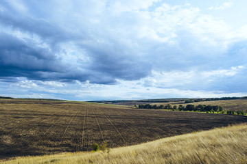 Obraz premium Field after harvesting, blck earth. The soil processed by a disk harrow. Cultivated land prepared for sowing. Hilly landscape with dramatic sky, field forest.