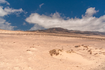 Fototapeta na wymiar Cofete beach Canary Island of Fuerteventura