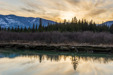 sunset on fairmont creek in canadian rocky mountains spring Regional District of East Kootenay.