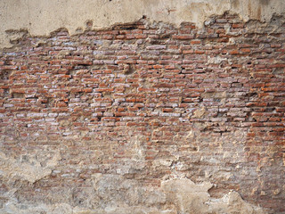 Old brick wall for background.