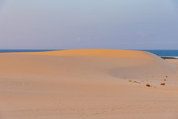Fototapeta na wymiar Sunset over the sand dunes, Canary Island of Fuerteventura