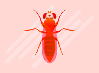 Drosophilidae flies Flat Vector Icon Illustration with Gradient Color