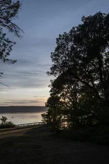 sunlight streaming through the trees near sunset © Taya