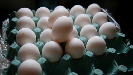 chicken eggs in kitchen