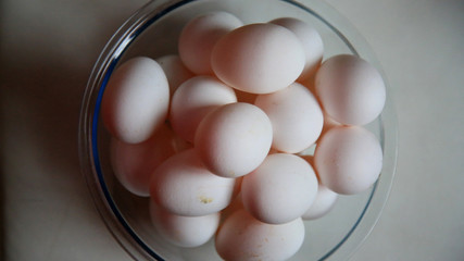 chicken eggs in kitchen