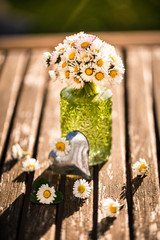 Gänseblümchen Blumenstrauß klein 