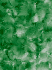 Naklejka na ściany i meble Beautiful abstract white and green feathers on white background and soft white feather texture on white pattern and green background, feather background , green banners