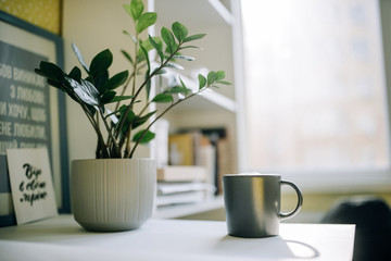 A cup of coffee stands on a table near a flowerpot with a plant on the morning window background